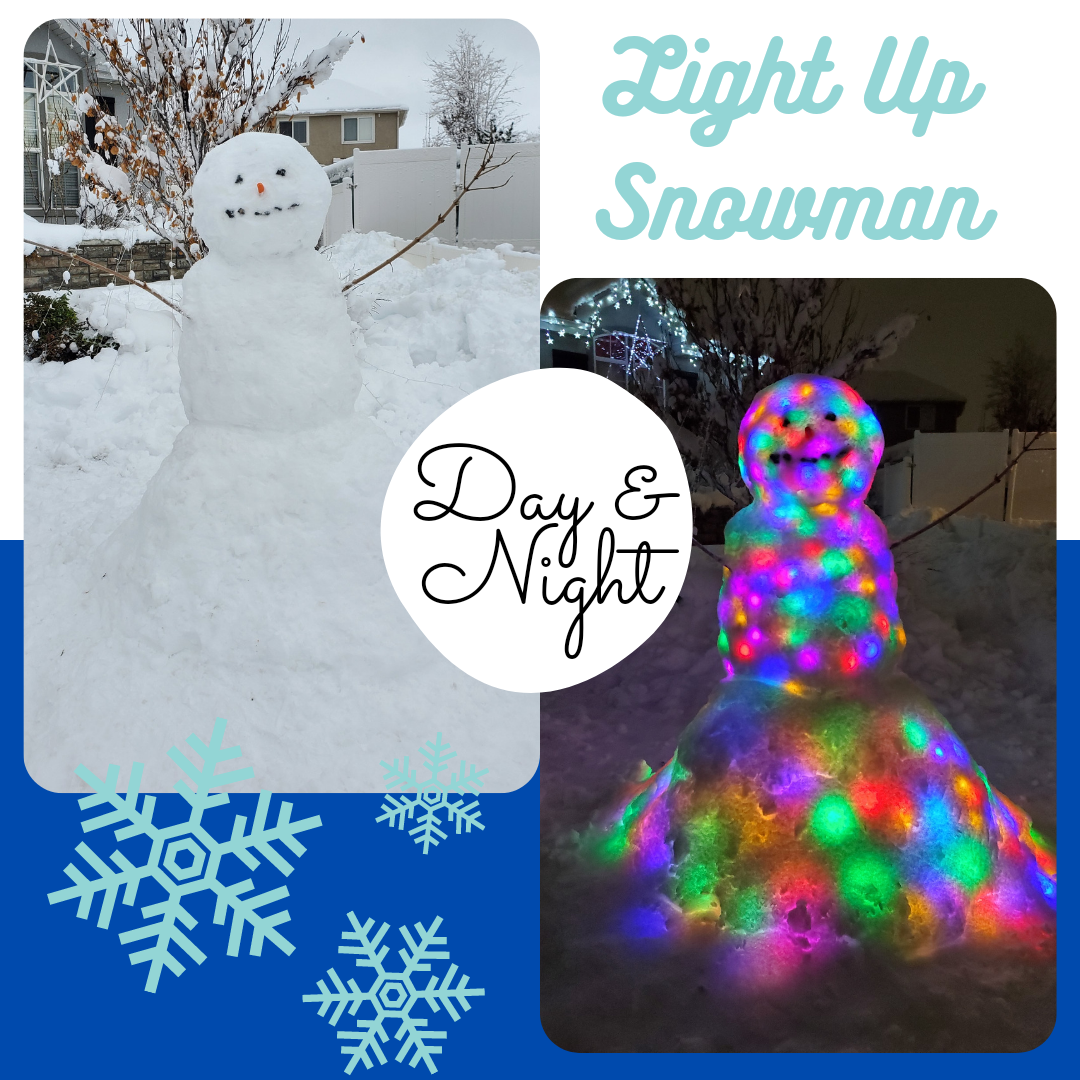 day and night light up snowman