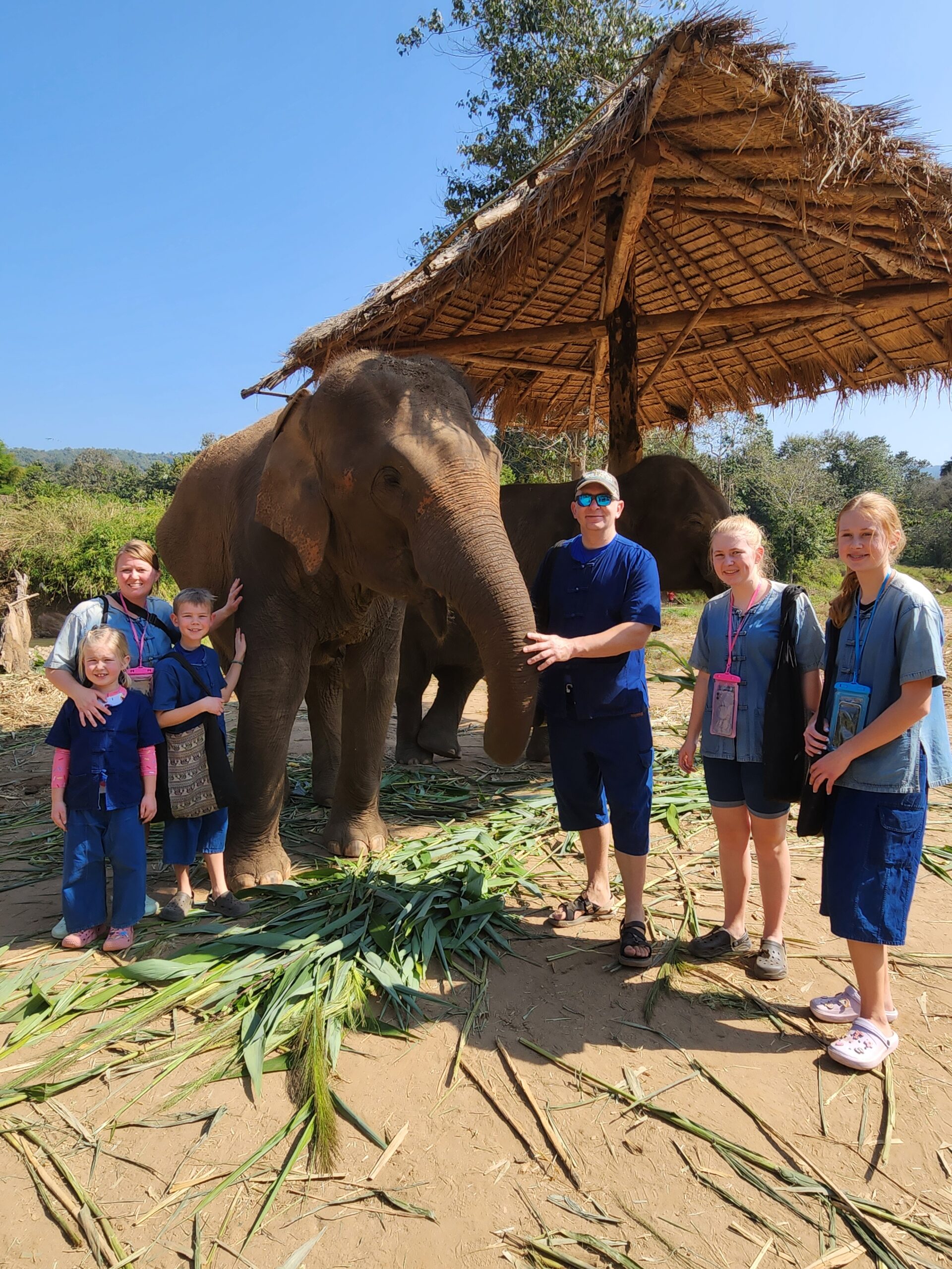 elephant sanctuary